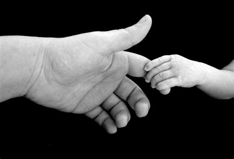 Download high quality holding hands images perfect for your project. Holding Hands Free Stock Photo - Public Domain Pictures