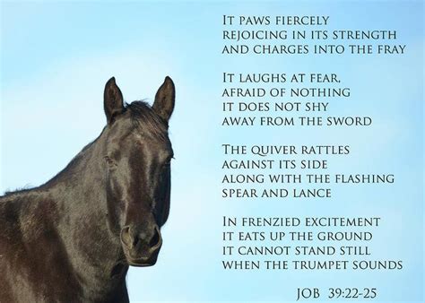 Not as good as the food. The War Horse Greeting Card for Sale by Whispering Peaks Photography (With images) | Horse quotes