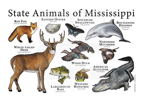 Mississippi State Animals Poster Print Etsy