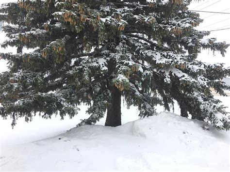 North Dakota Snowfall Totals As Of Wednesday At 12 Noon