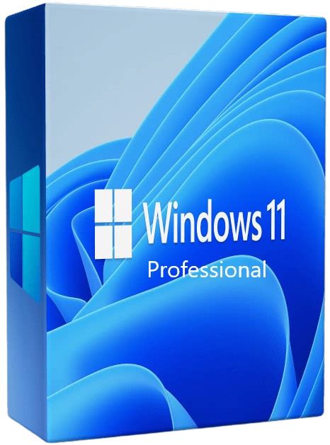 Microsoft Windows 11 Pro Dvd Oem 64 Bit Pl Proline
