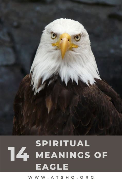 Eagle Symbolism 14 Spiritual Meanings Of Eagle