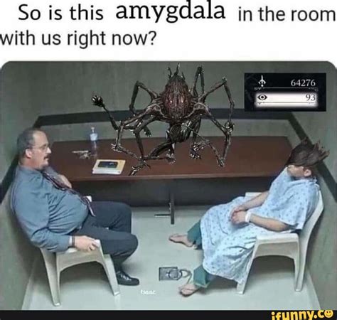 Amygdala Memes Best Collection Of Funny Amygdala Pictures On Ifunny