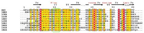 Sequence Alignment And Structural Fold Of Srgap1 Sh3 Domain With Other
