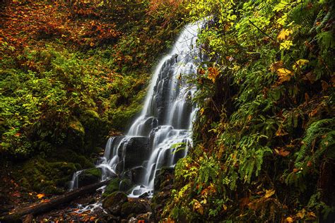 Fairy Falls Autumn In Columbia River Gorge Oregon Usa Photograph By