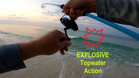 Explosive Topwater Action Youtube