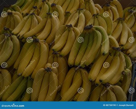 Banana Stock Photo Image Of Full Colours Local Vegetable 88738190