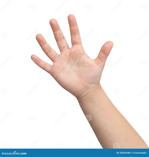 Hand Hand Of A Child Stock Photo Image Of Thumb Human 35563940