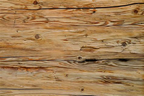 Texture Wood Grain Free Photo On Pixabay