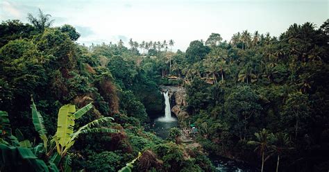 Rainforest Waterfall Tours Jaco Beach And Los Suenos Costa Rica