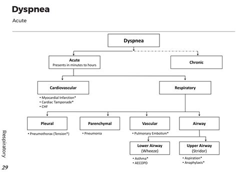 Causes Of Acute Dyspnea Differential Diagnosis Algorithm