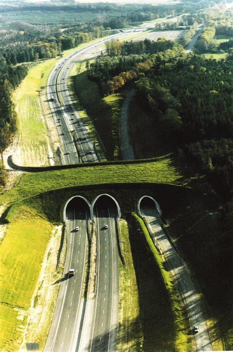 18 Magnificent Bridges That Will Blow You Away