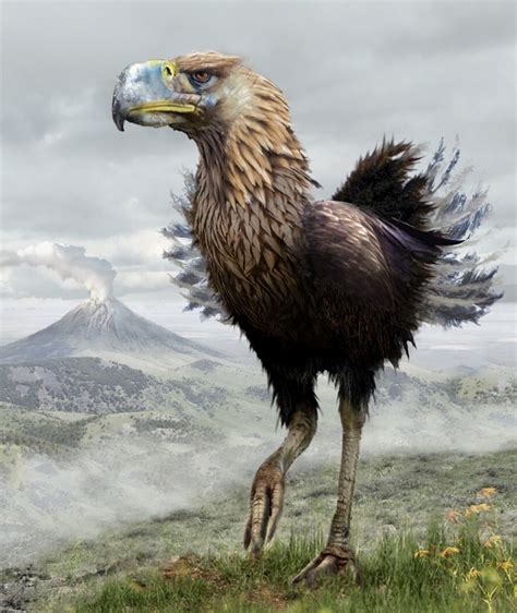 Phorusrhacids Known As Terror Birds Are A Group Of Extinct