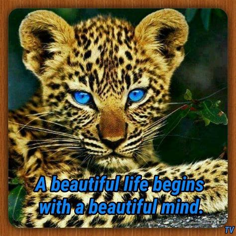 A Beautiful Life Begins With A Beautiful Mind Pictures Photos And