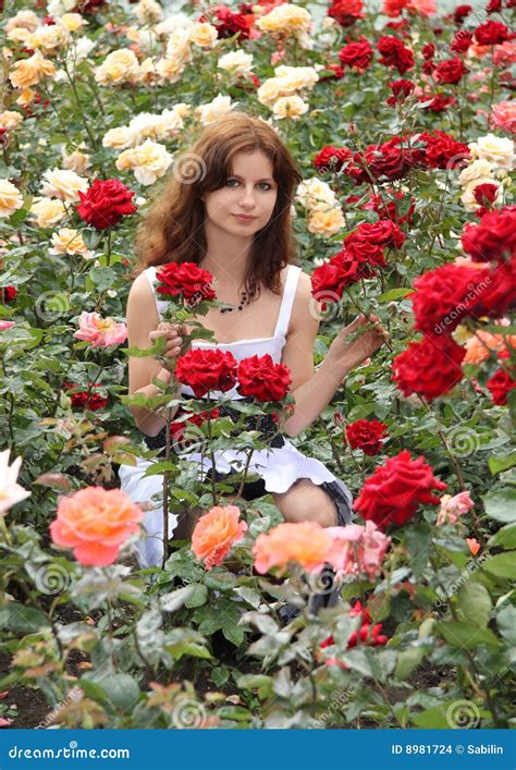 Girl And Roses Stock Photo Image Of Leaves Beautiful 8981724