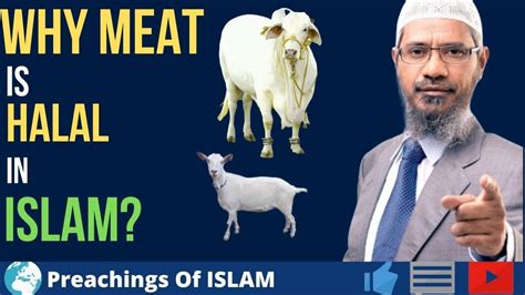 Or at best play an arbitration check your is cryptocurrency trading halal broker has the ability to get deposits and withdrawals processed within 2 to 3 days. Why Meat Is HALAL In Islam〡Dr.Zakir Naik〡Preachings Of ...