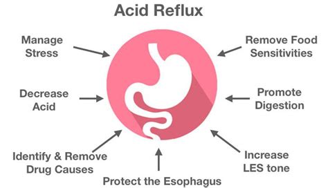 Acid Reflux Treatments In Guelph Guelph Naturopathic Medical Clinic