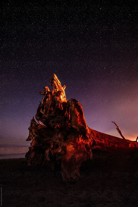 Driftwood At Night By Stocksy Contributor Peter Wey Stocksy