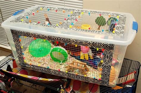 Hamster bin cage diy hamster toys hamster life hamster habitat baby hamster hamster house hamsters as pets cute hamsters rodents. Finished My 1st Bin Cage! | Hamster diy cage, Hamster cages, Hamster toys