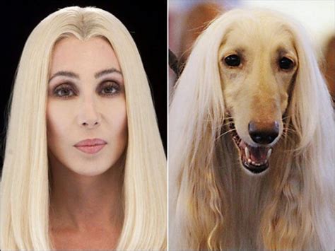 14 Animals Who Look Just Like Your Favorite Stars Fame Focus