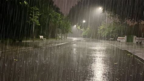 Sleep Instantly With Heavy Rainstorm And Powerful Thunder Sounds Covering The Rainforest Park At