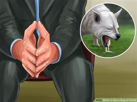 How To Get A Dog To Vomit 15 Steps With Pictures Wikihow