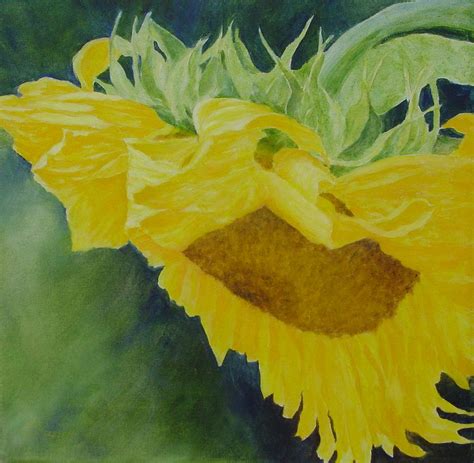 Sunflower Original Oil Painting Colorful Bright Sunflowers