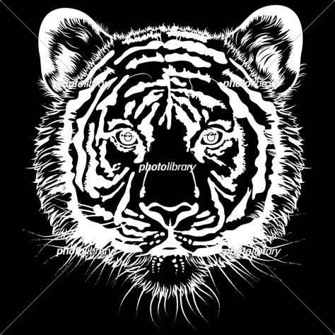 正面を向いた虎の顔の白黒イラスト イラスト素材 6977377 フォトライブラリー Photolibrary