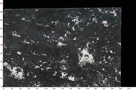 Gray Marble Imperial Gray Marble Slab Runyao