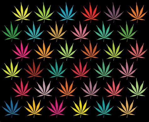 Cannabis Leaf Multi Coloured Pattern Digital Art By Image Zone