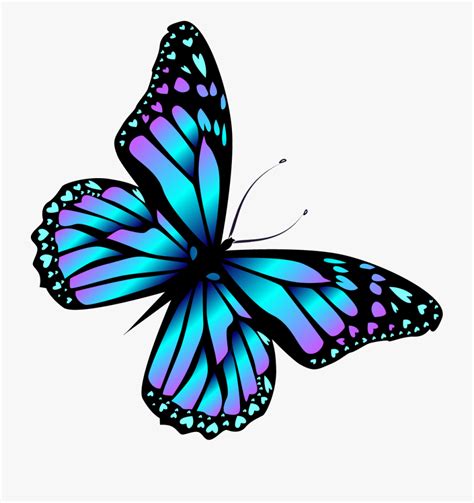 Butterflies Clipart Butterflies Transparent Free For Download On