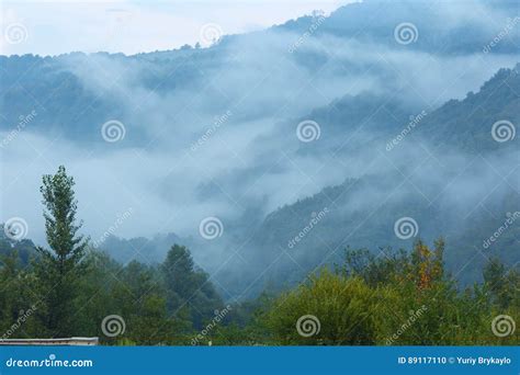 Evening Mist In Mountain Stock Photo Image Of Scenery 89117110