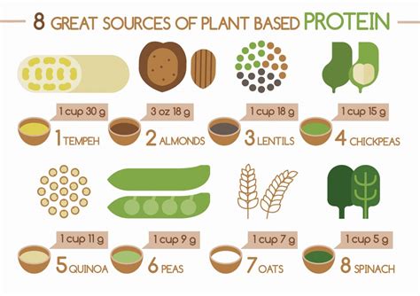 Top 7 Powerful Plant Based Foods With Protein Take Back Your Temple