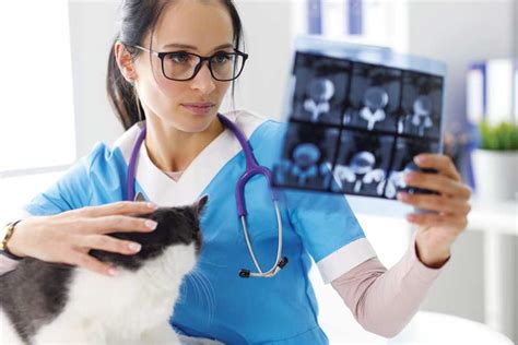 Should Veterinarians Adhere To Scientific Standards For Acceptable Practice Laptrinhx News