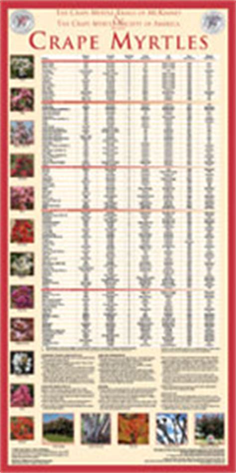 There are approximately 50 species of crepe myrtle. Crape Myrtles Poster - Neil Sperry's GARDENS