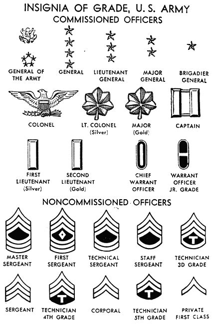 Army Ranks All The Insignas Of United Statescanadian Military Army