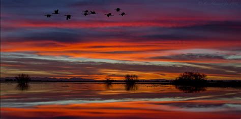 Merced Nwr Sunset Ken Phenicie Jr Flickr