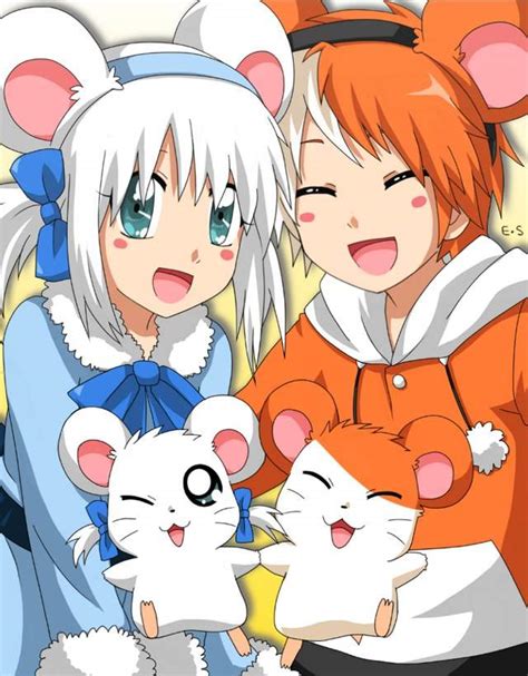 Hamtaro Wiki Anime Amino