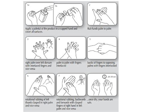 Hand Hygiene Technique With Alcohol Based Hand Sanitisers Abhs Download Scientific Diagram