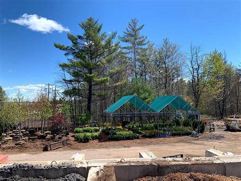 Garden Center Trees Shrubs And More Lulich Landscaping Llc