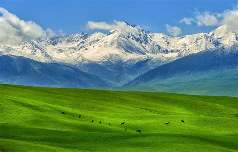 Wallpaper Nature Mountains Kazakhstan Steppe Images For Desktop