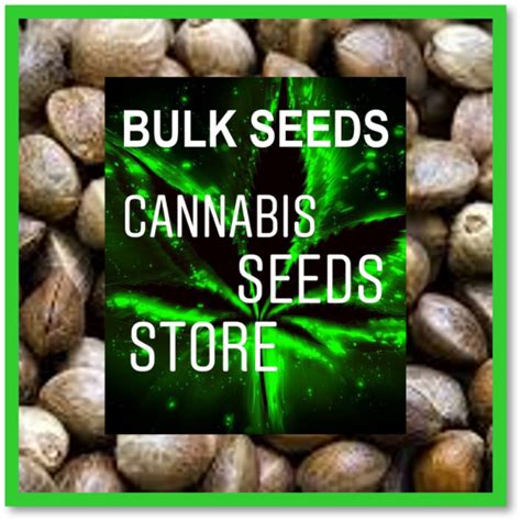 Bulk Feminised And Auto Feminised Seed Packs Cannabis Seeds Store