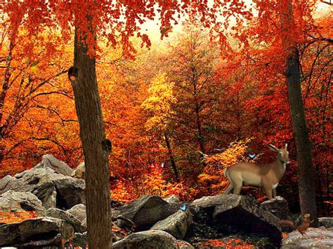 3d Autumn Woods Free Download And Software Reviews
