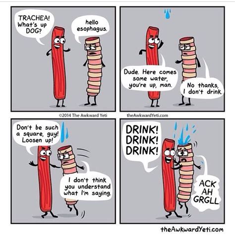 what happens when your drink goes down the wrong pipe science comics science cartoons science
