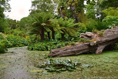 A Day Out At The Spectacular Abbotsbury Subtropical Gardens