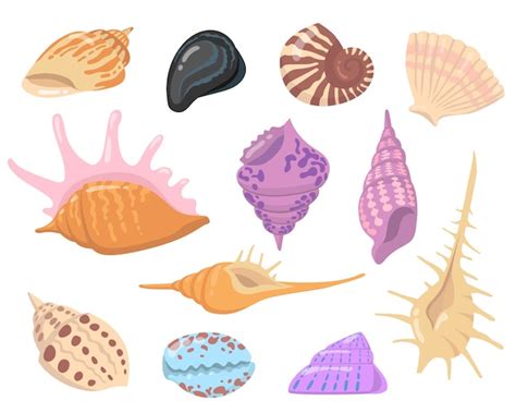 Free Vector Sea Or Ocean Shell Objects Flat Illustration Set Cartoon