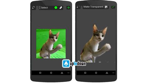 Picsay Pro Photo Editor Apk Free Download For Pc Taialight