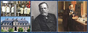 Louis Pasteur | 10 Facts About The French Scientist | Learnodo Newtonic