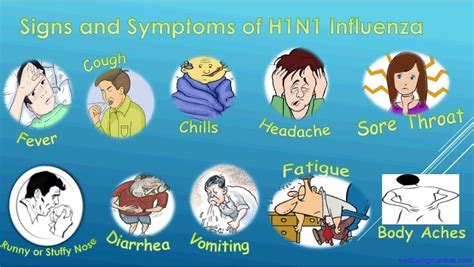 The Warning Signs Of Influenza A H1n1 Virus Jessie Ripoll Primary Pta