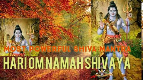 ॐ नमः शिवाय धुन Peaceful Aum Namah Shivaya Mantra Complete Om Namah